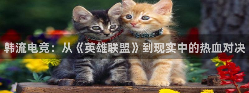 南宫电竞app