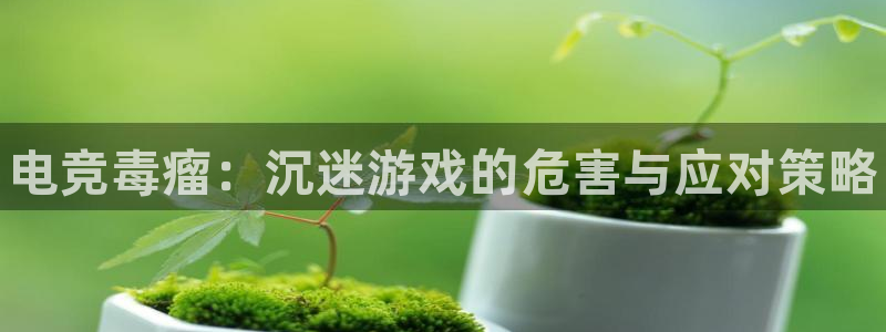 南宫电竞网