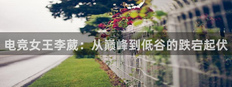 南宫电竞注册