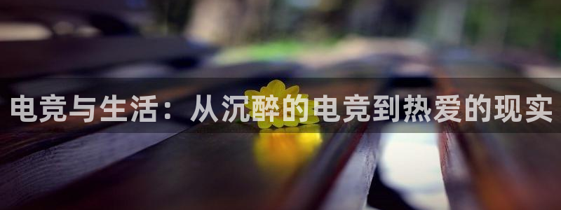 南宫电竞网：电竞与生活：从沉醉的电竞到热爱的现实