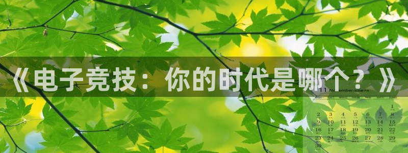 南宫电竞app：《电子竞技：你的时代是哪个？》