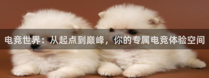南宫电竞注册：电竞世界：从起点到巅峰，你的专属电竞体验空间