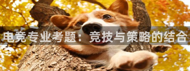 南宫电竞app