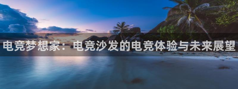 南宫电竞注册：电竞梦想家：电竞沙发的电竞体验与未来展望