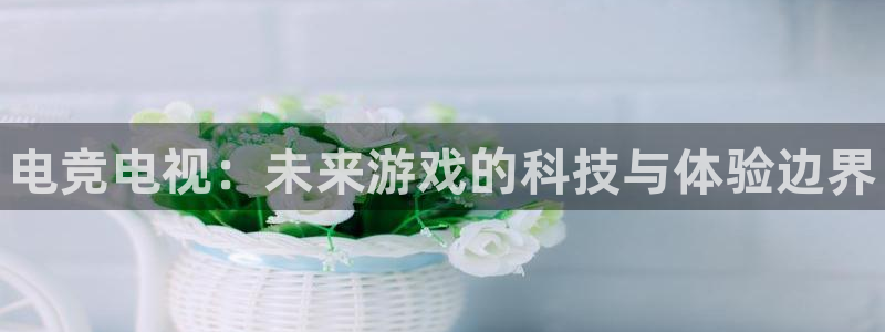 南宫电竞网：电竞电视：未来游戏的科技与体验边界