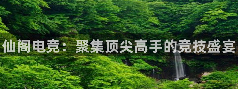 南宫电竞app