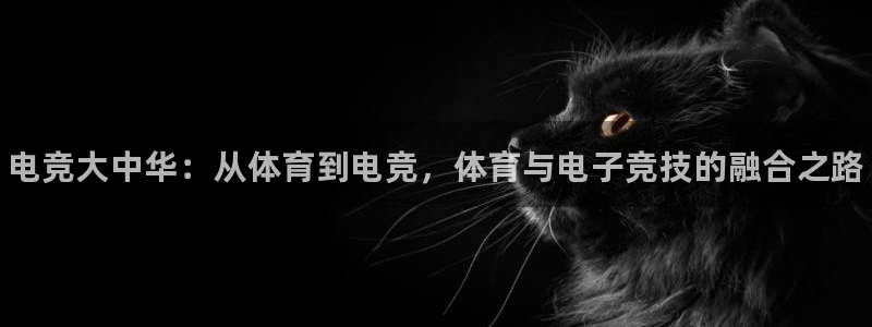 南宫电竞登陆：电竞大中华：从体育到电竞，体育与电子竞技的融合之路