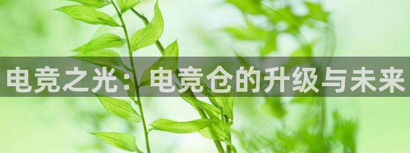 南宫电竞官网：电竞之光：电竞仓的升级与未来