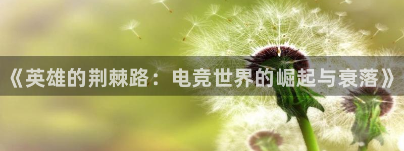 南宫电竞官网：《英雄的荆棘路：电竞世界的崛起与衰落》
