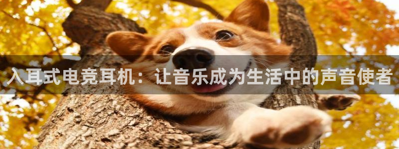 南宫电竞平台