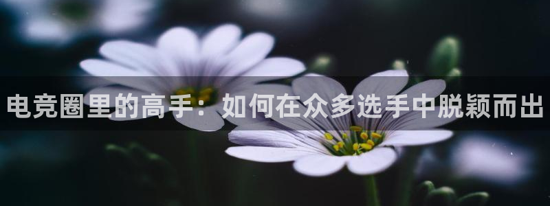 南宫电竞贴吧：电竞圈里的高手：如何在众多选手中脱颖而出