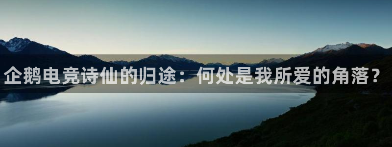 南宫电竞：企鹅电竞诗仙的归途：何处是我所爱的角落？