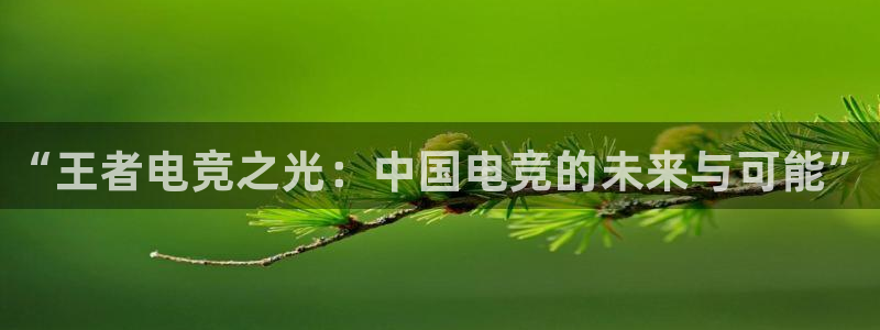 南宫电竞注册：“王者电竞之光：中国电竞的未来与可能”