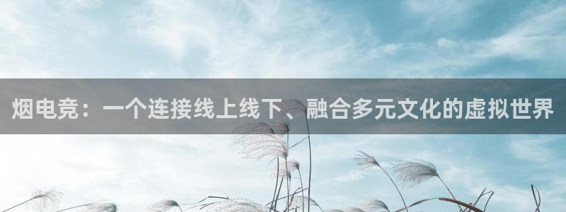 南宫电竞官网：烟电竞：一个连接线上线下、融合多元文化的虚拟世界
