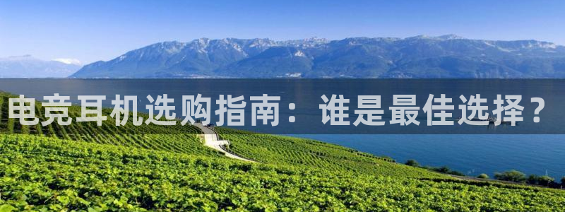 南宫电竞网：电竞耳机选购指南：谁是最佳选择？