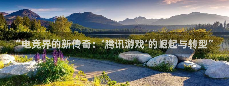 南宫电竞注册：“电竞界的新传奇：‘腾讯游戏’的崛起与转型”