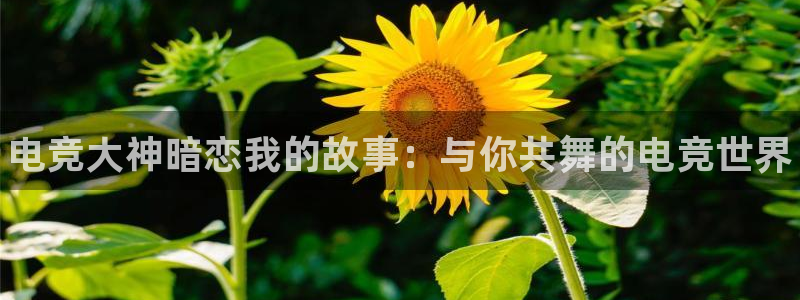 南宫电竞：电竞大神暗恋我的故事：与你共舞的电竞世界