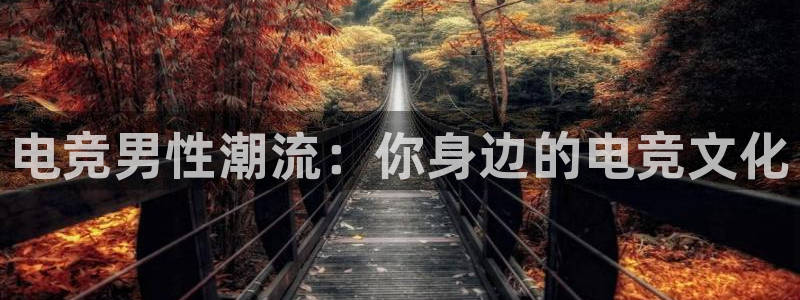 南宫电竞官网：电竞男性潮流：你身边的电竞文化