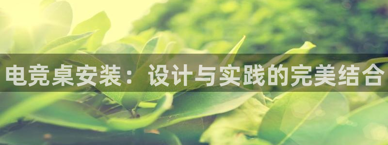 南宫电竞