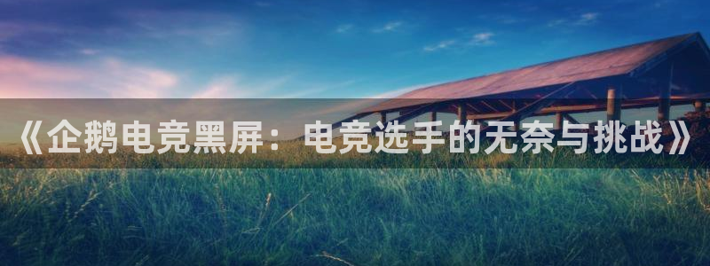 南宫电竞：《企鹅电竞黑屏：电竞选手的无奈与挑战》