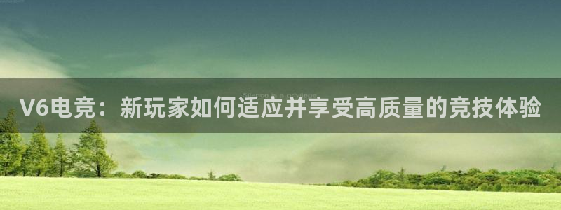 南宫电竞网：V6电竞：新玩家如何适应并享受高质量的竞技体验
