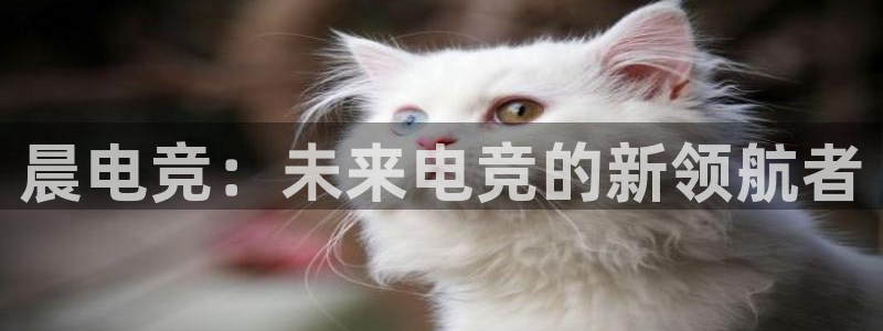南宫电竞登陆：晨电竞：未来电竞的新领航者