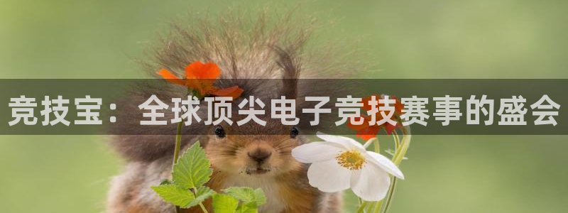 南宫电竞平台：竞技宝：全球顶尖电子竞技赛事的盛会