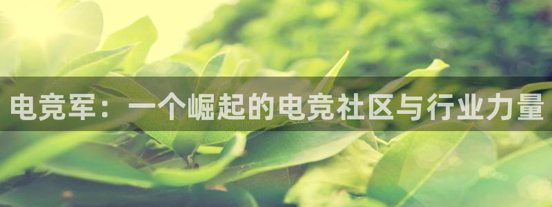 南宫电竞：电竞军：一个崛起的电竞社区与行业力量