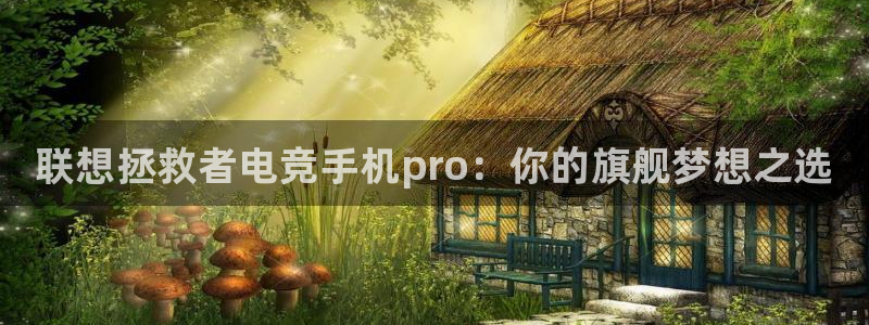 南宫电竞官网