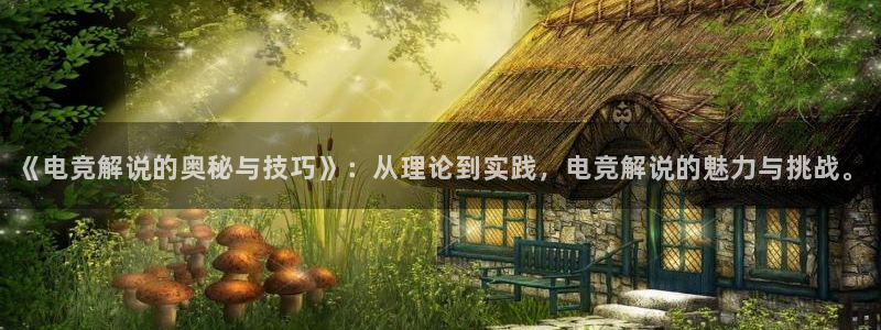 南宫电竞平台：《电竞解说的奥秘与技巧》：从理论到实践，电竞解说的魅力与挑战。