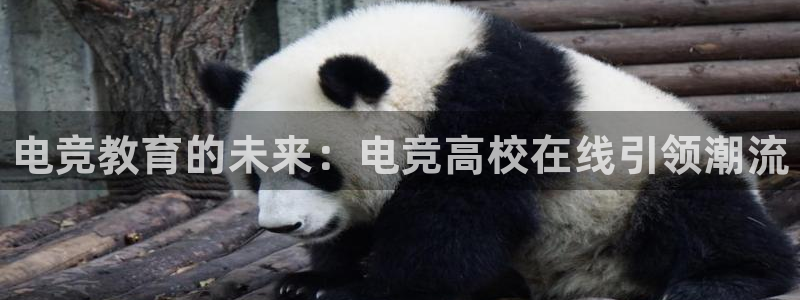 南宫电竞注册：电竞教育的未来：电竞高校在线引领潮流