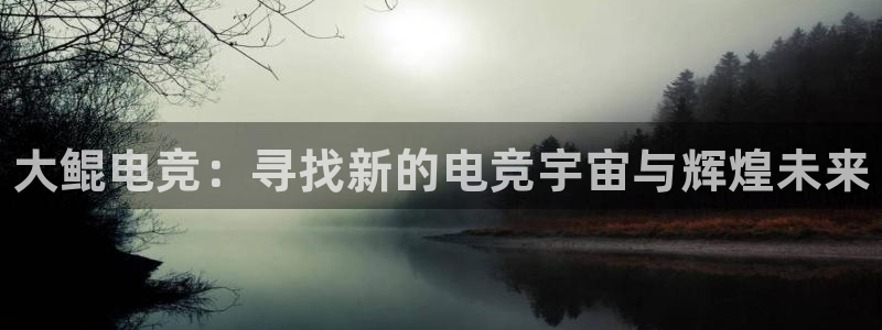 南宫电竞官网：大鲲电竞：寻找新的电竞宇宙与辉煌未来