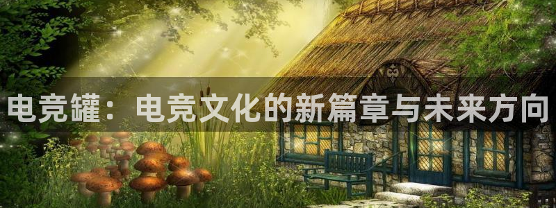 南宫电竞网：电竞罐：电竞文化的新篇章与未来方向