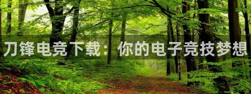 南宫电竞app：刀锋电竞下载：你的电子竞技梦想