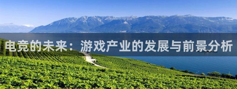 南宫电竞app：电竞的未来：游戏产业的发展与前景分析