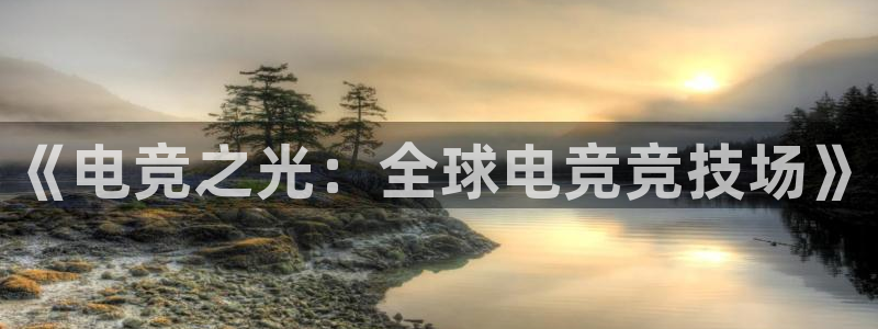 南宫电竞注册：《电竞之光：全球电竞竞技场》
