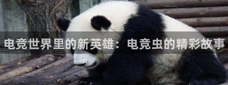 南宫电竞贴吧：电竞世界里的新英雄：电竞虫的精彩故事