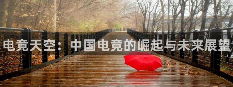 南宫电竞网：电竞天空：中国电竞的崛起与未来展望