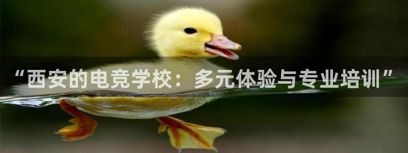 南宫电竞：“西安的电竞学校：多元体验与专业培训”