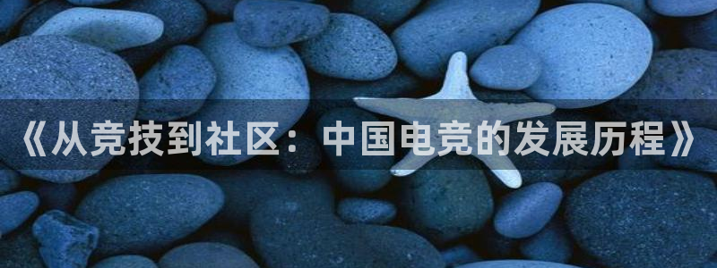 南宫电竞注册：《从竞技到社区：中国电竞的发展历程》