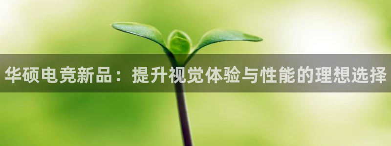 南宫电竞贴吧：华硕电竞新品：提升视觉体验与性能的理想选择