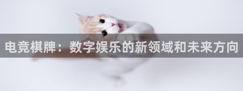 南宫电竞注册：电竞棋牌：数字娱乐的新领域和未来方向