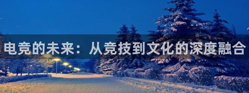 南宫电竞平台：电竞的未来：从竞技到文化的深度融合