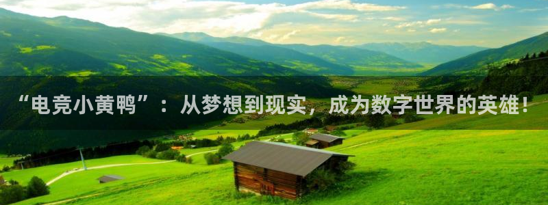 南宫电竞平台：“电竞小黄鸭”：从梦想到现实，成为数字世界的英雄！