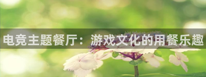 南宫电竞登陆：电竞主题餐厅：游戏文化的用餐乐趣
