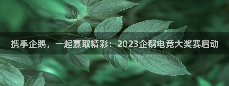 南宫电竞官网：携手企鹅，一起赢取精彩：2023企鹅电竞大奖赛启动