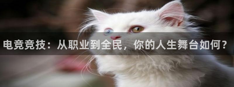 南宫电竞：电竞竞技：从职业到全民，你的人生舞台如何？