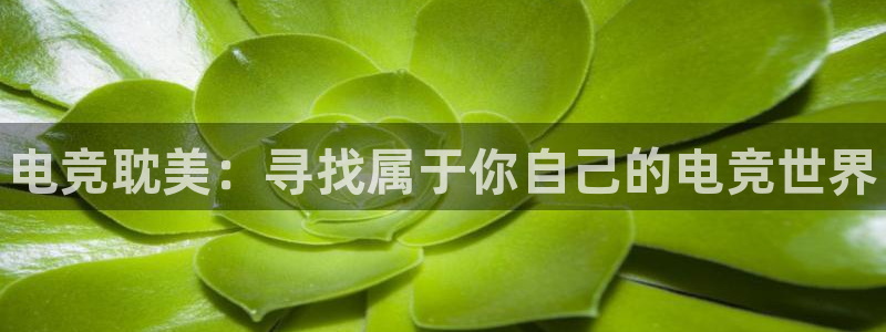 南宫电竞贴吧