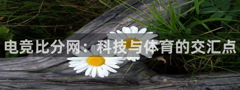 南宫电竞贴吧：电竞比分网：科技与体育的交汇点