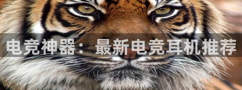 南宫电竞贴吧：电竞神器：最新电竞耳机推荐